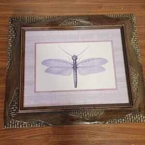 Framed Dragonfly Art Print
